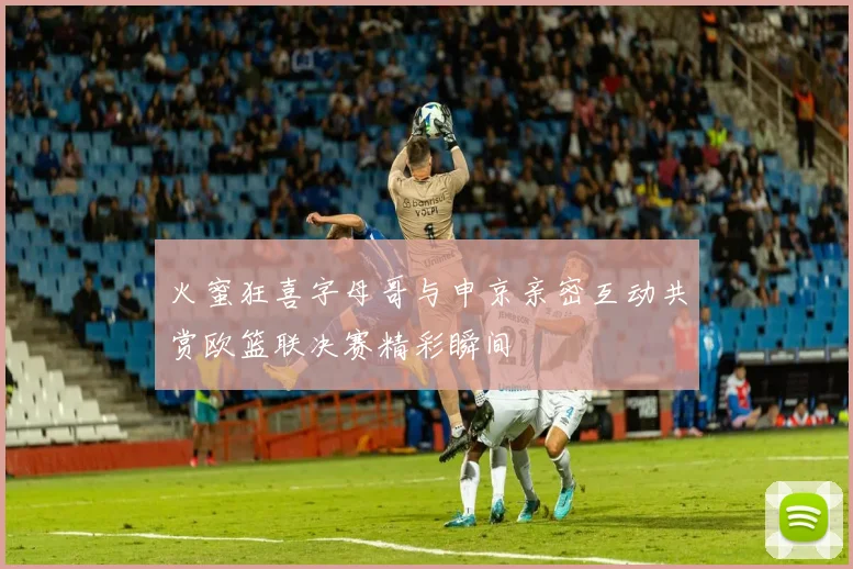 火蜜狂喜字母哥与申京亲密互动共赏欧篮联决赛精彩瞬间