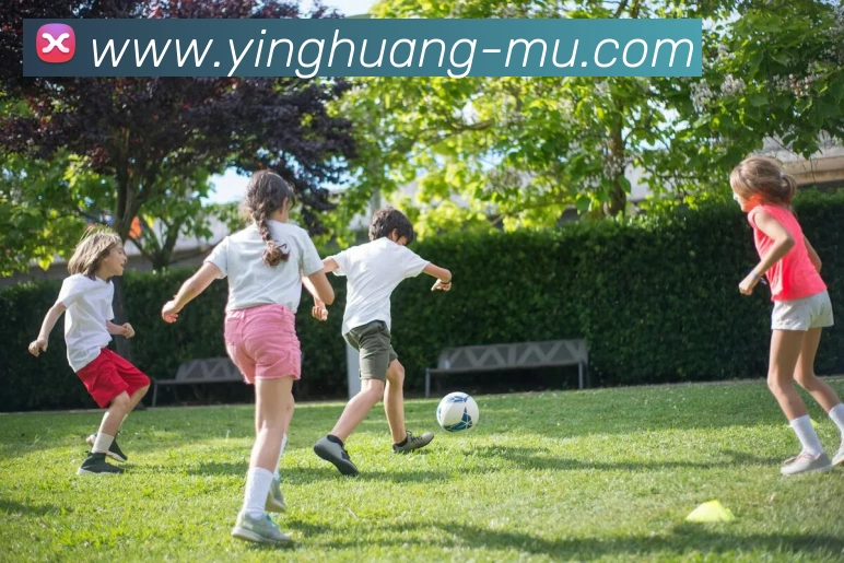 英皇体育平台生态图